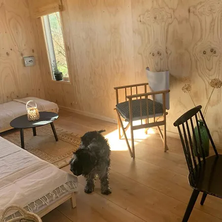 Casa de Férias Wooden By Ideal For Swimming Tranekær