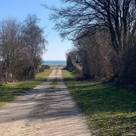 Wooden By Ideal For Swimming Tranekær