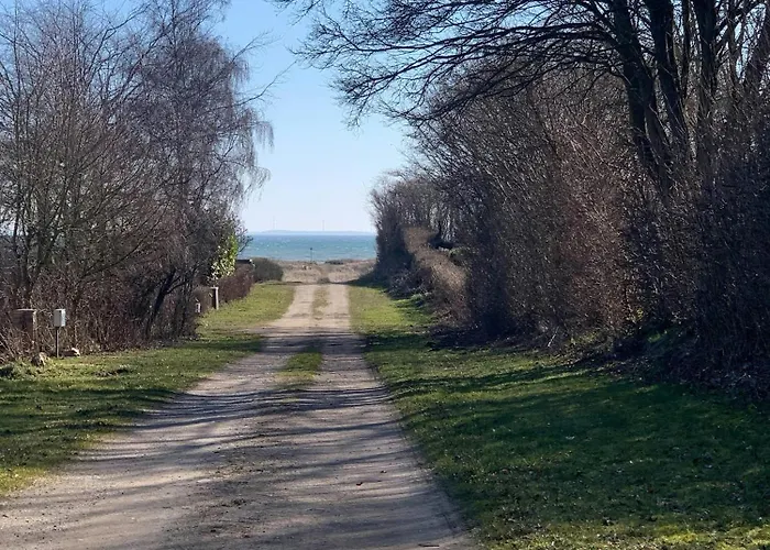 Wooden By Ideal For Swimming Tranekær